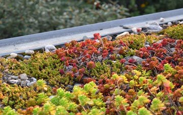 the cost of Knockerdown green roof installation