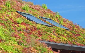Knockerdown living roof systems